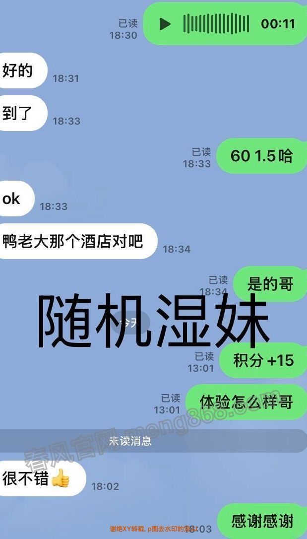 082429t5xyx8csoys5e66g.jpeg
