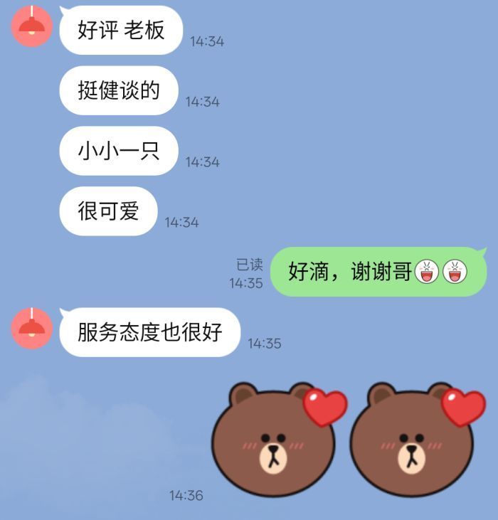 152000j12hh6yjv3pj4w43.jpg